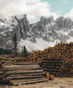 emqyrj7wij1d0orsquho